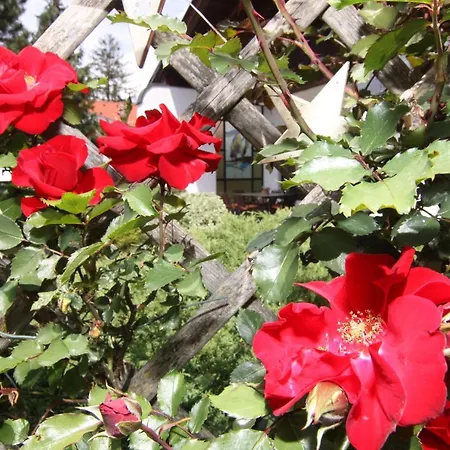 Apartment Wessely Am Golfplatz *