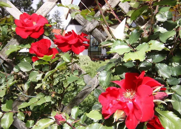 Appartamento Wessely Am Golfplatz *